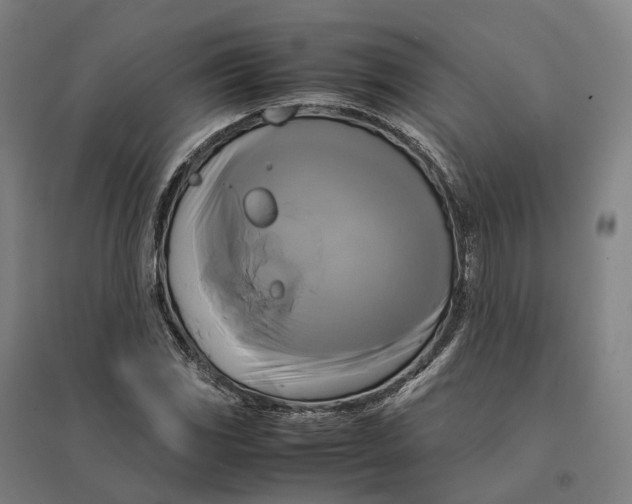 X0000095121117200712301754