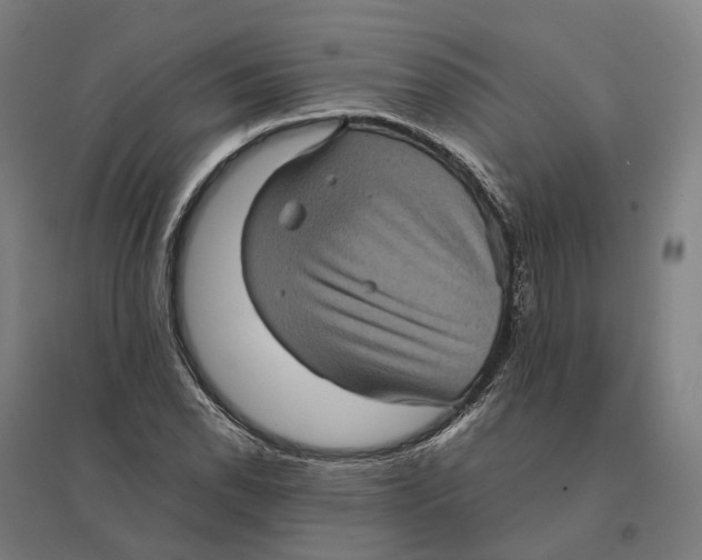 X0000095121118200712301754