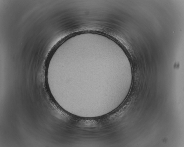 X0000095121119200712301754