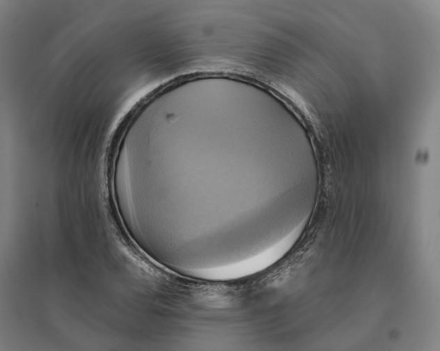 X0000095121120200712301754