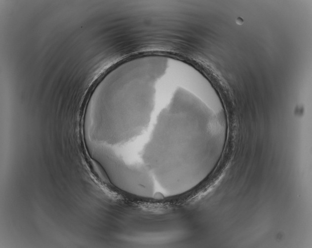 X0000095121121200712301754