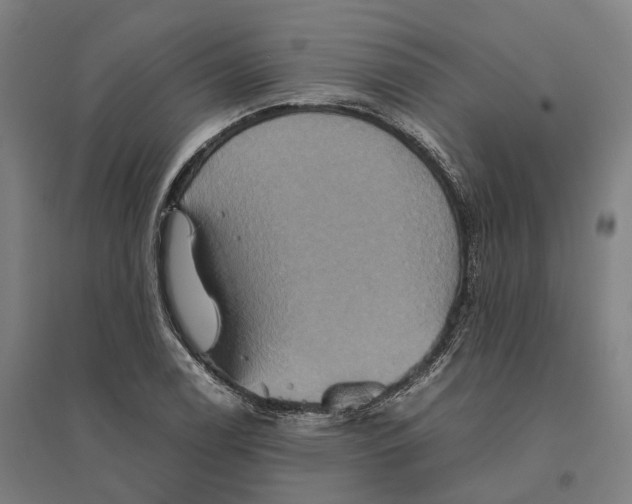 X0000095121122200712301754