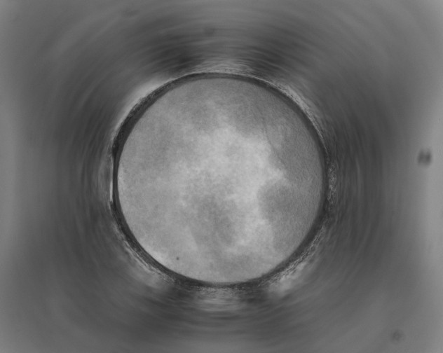 X0000095121123200712301754