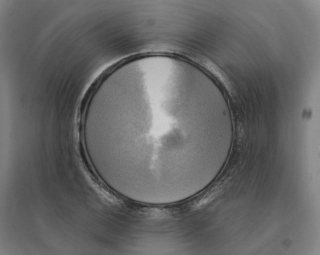 X0000095121124200712301754