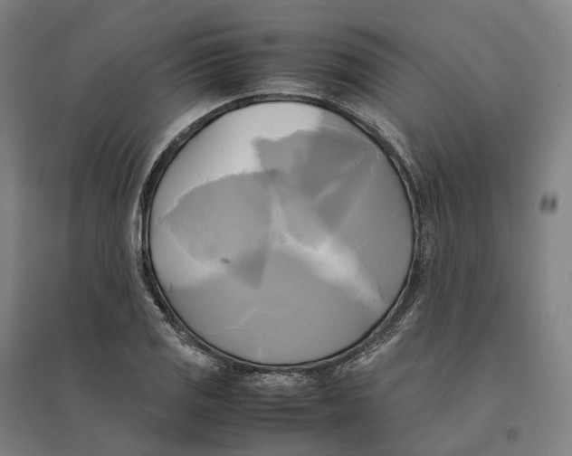 X0000095121125200712301754