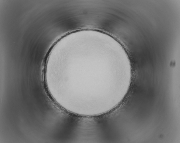 X0000095121126200712301754