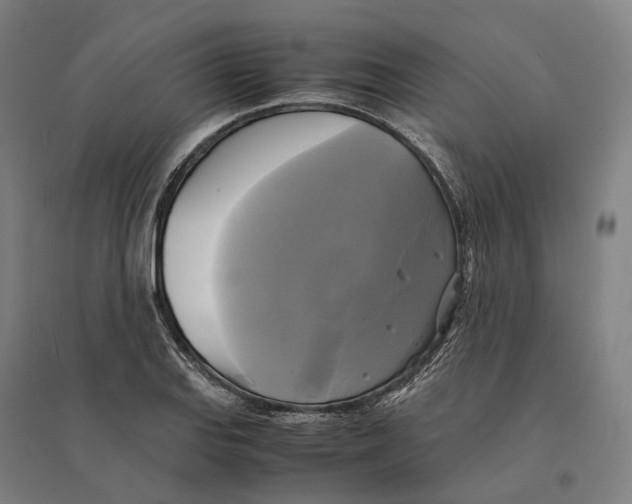 X0000095121127200712301754