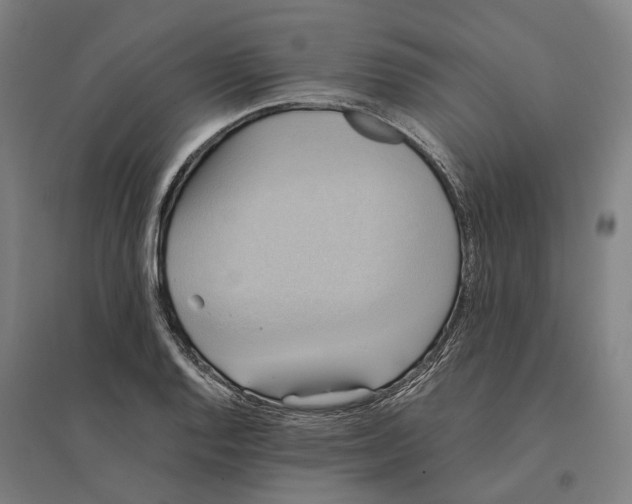 X0000095121128200712301754