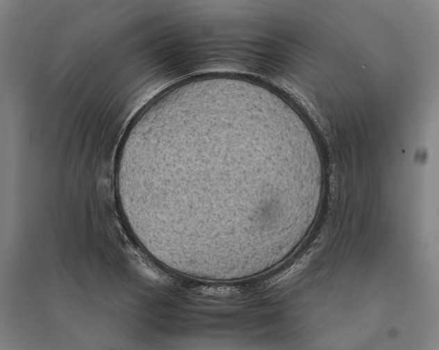 X0000095121129200712301754