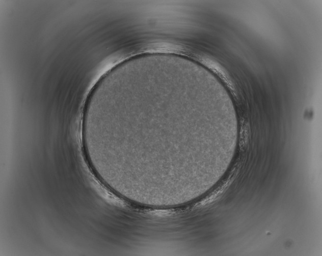 X0000095121130200712301754