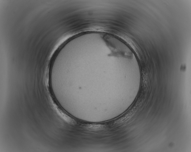 X0000095121131200712301754