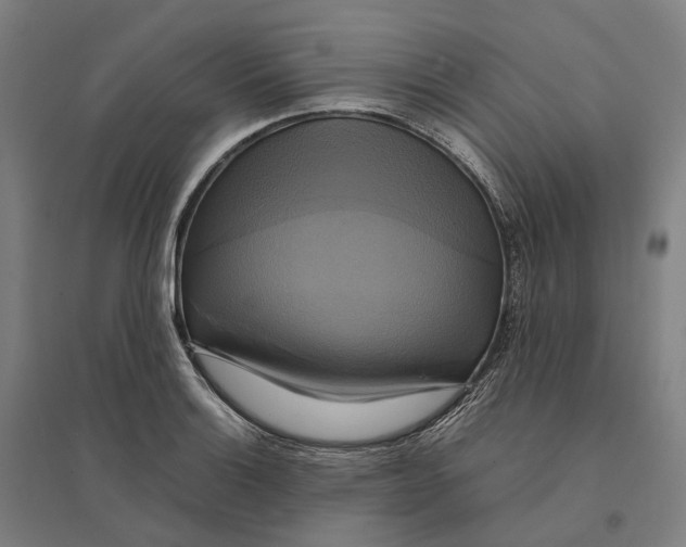 X0000095121132200712301754