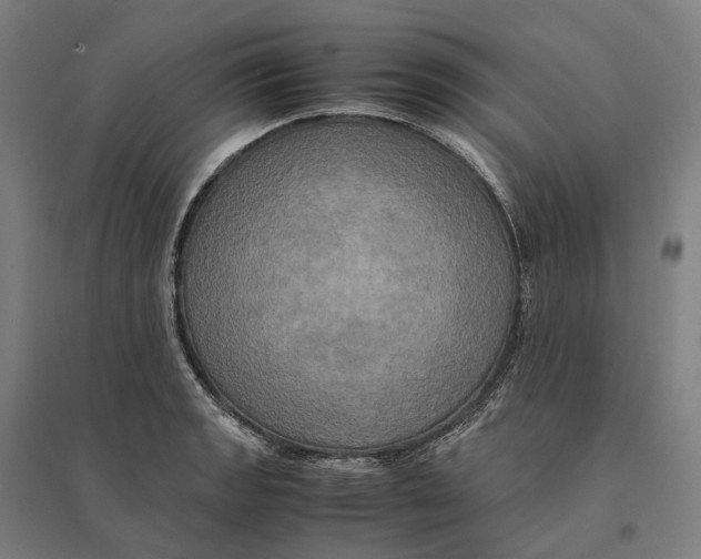 X0000095121133200712301754