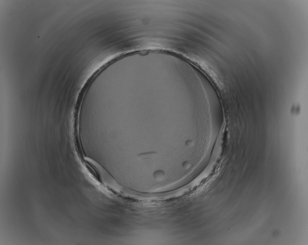 X0000095121134200712301754