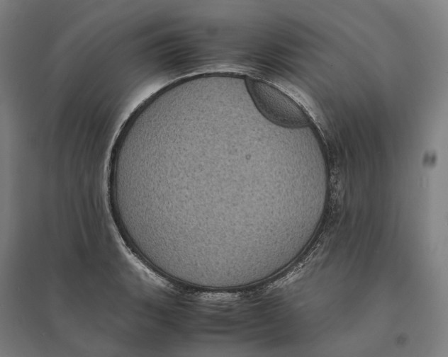 X0000095121135200712301754