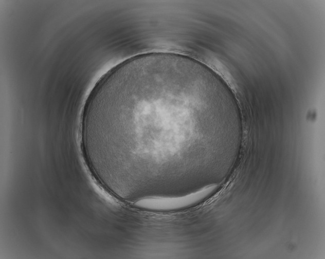 X0000095121136200712301754