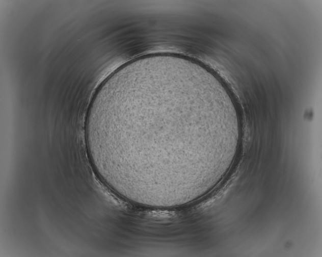 X0000095121137200712301754