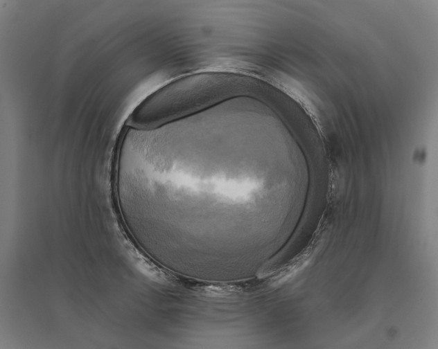 X0000095121138200712301754