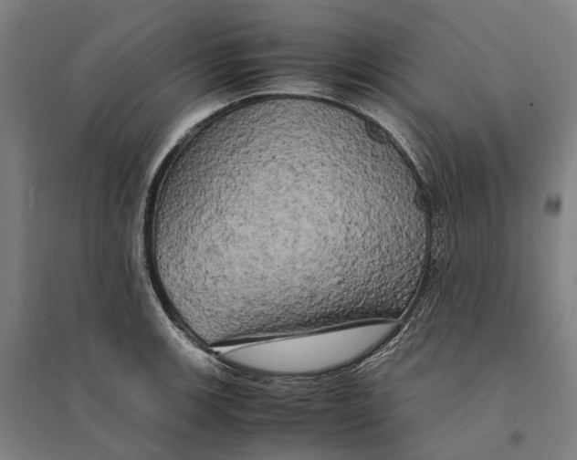 X0000095121139200712301754