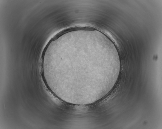 X0000095121140200712301754