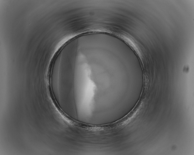 X0000095121141200712301754