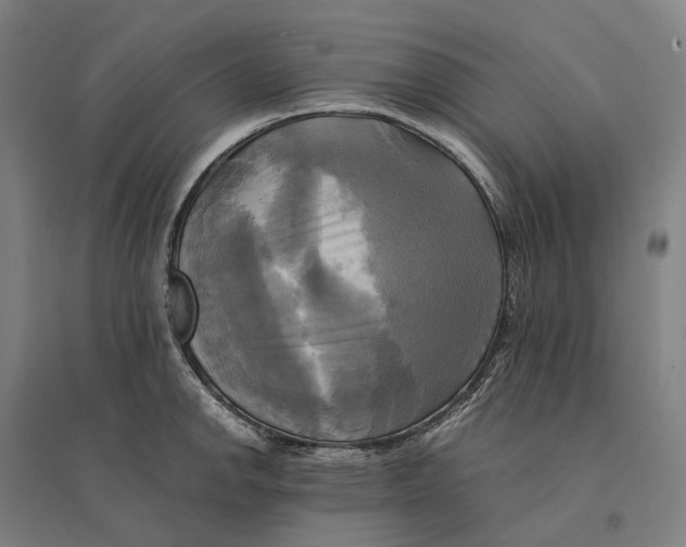 X0000095121142200712301754