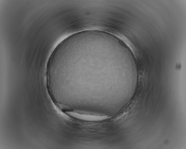 X0000095121143200712301754