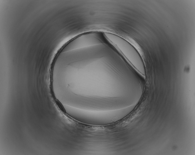 X0000095121144200712301754