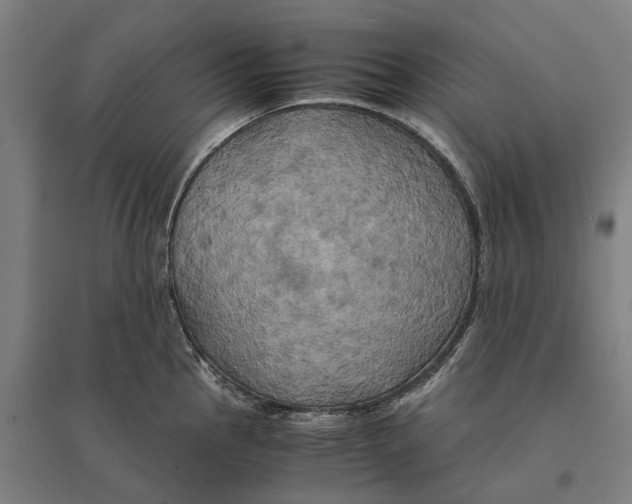 X0000095121145200712301754