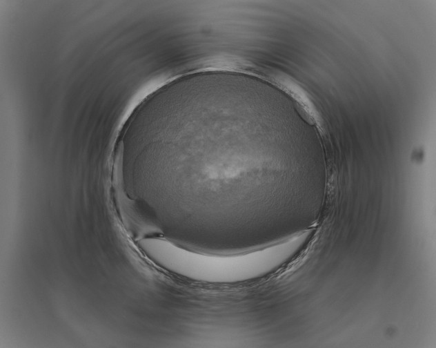 X0000095121146200712301754