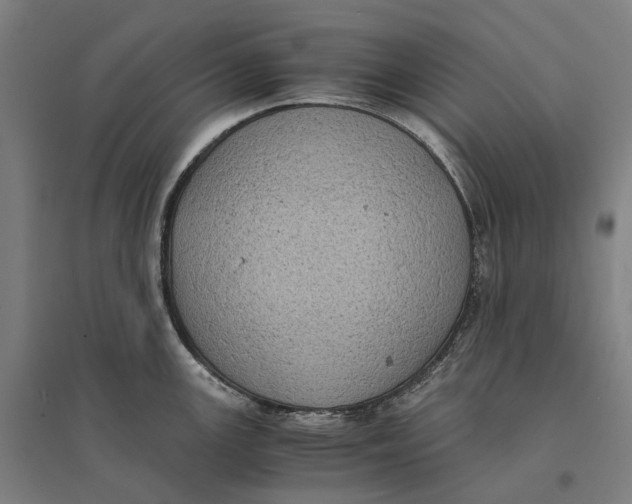 X0000095121147200712301754