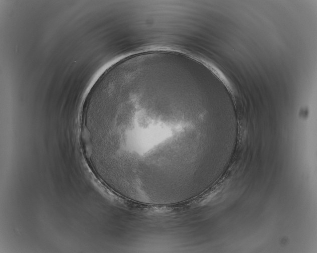 X0000095121148200712301754