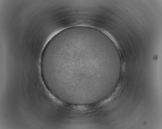 X0000095121149200712301754