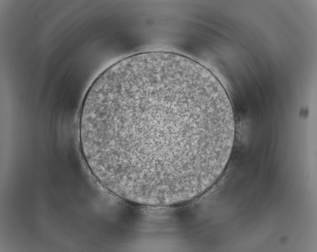 X0000095121150200712301754