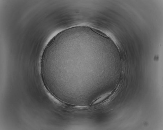 X0000095121151200712301754