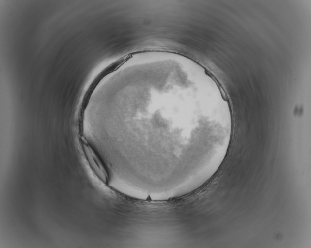 X0000095121152200712301754