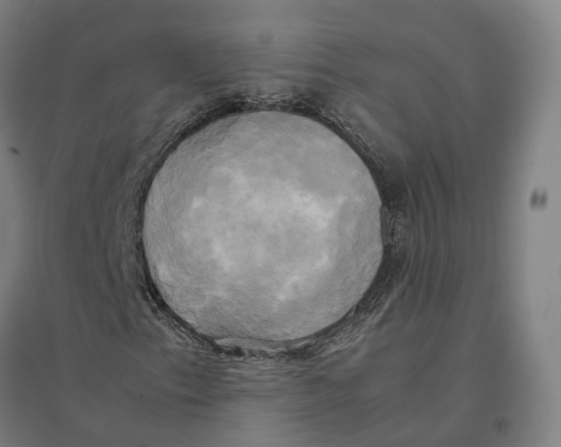 X0000095121153200712301754