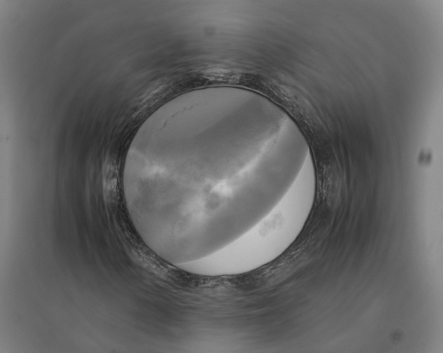 X0000095121154200712301754