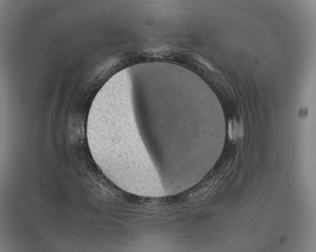 X0000095121155200712301754