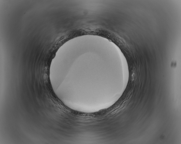 X0000095121156200712301753