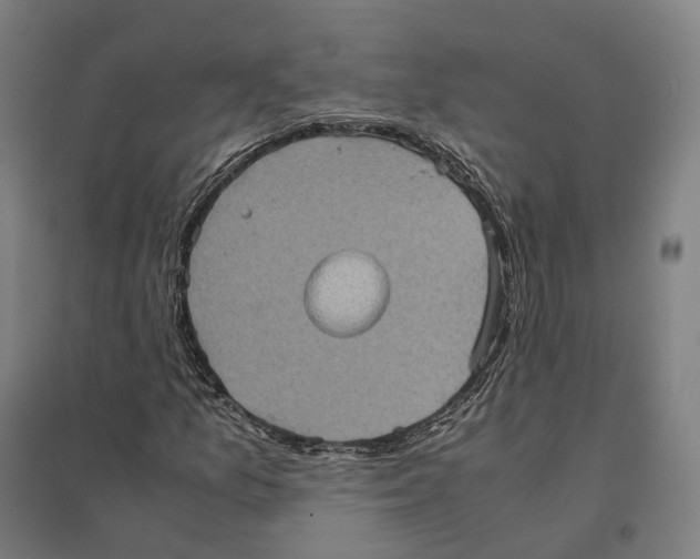 X0000095121157200712301753