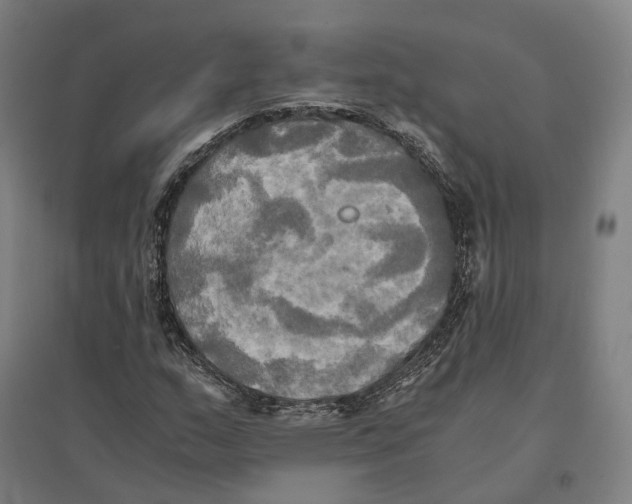 X0000095121159200712301753