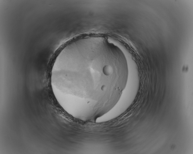 X0000095121160200712301753