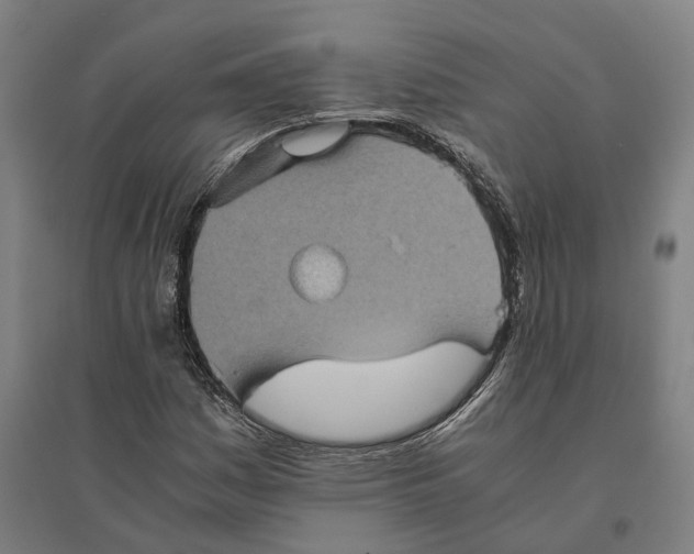 X0000095121161200712301753