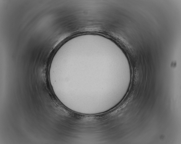 X0000095121162200712301753