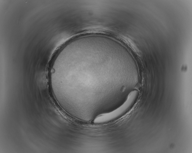 X0000095121164200712301753