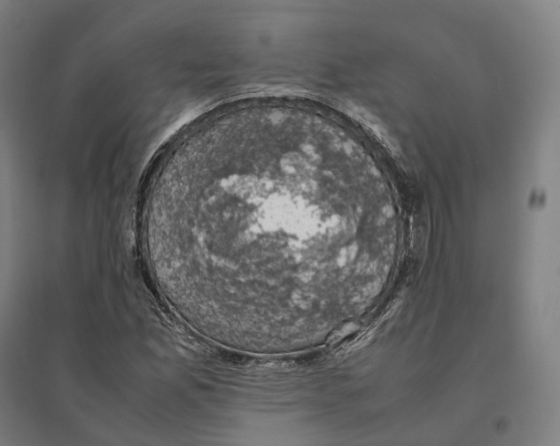 X0000095121165200712301753