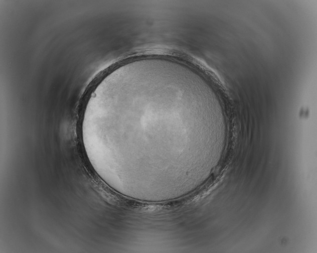 X0000095121166200712301753