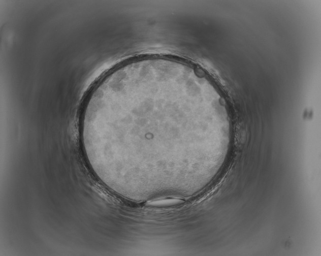 X0000095121167200712301753