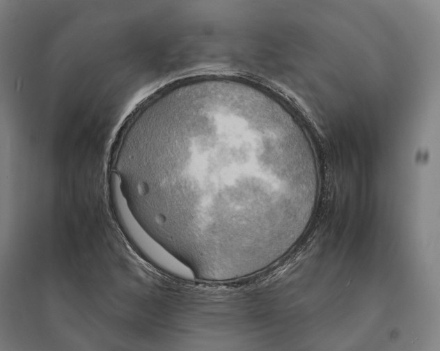 X0000095121168200712301753